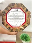 دروع خشب 6