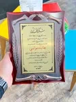 دروع خشب 9