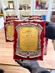 دروع خشب 10
