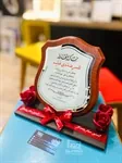 دروع خشب 2