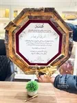 دروع خشب 5