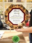 دروع خشب 16